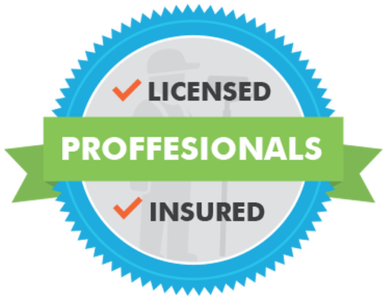 licensed and insured logo badge